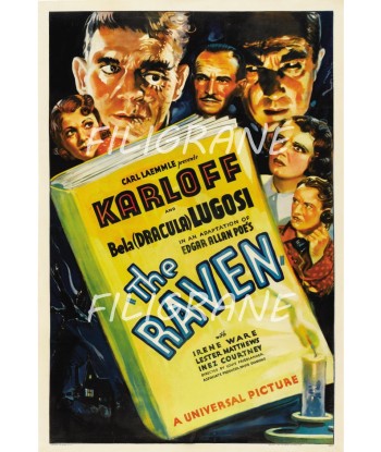 THE RAVEN FILM Revz-POSTER/REPRODUCTION d1 AFFICHE VINTAGE l'achat 