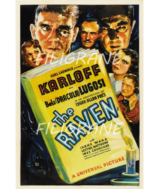 THE RAVEN FILM Revz-POSTER/REPRODUCTION d1 AFFICHE VINTAGE l'achat 