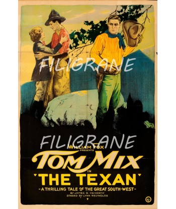 THE TEXAN FILM TOM MIX Rbxw-POSTER/REPRODUCTION d1 AFFICHE VINTAGE offre 