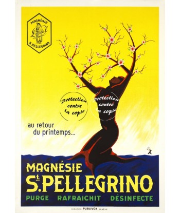 PUB ST PELLEGRINO MAGNéSIE Rsla-POSTER/REPRODUCTION d1 AFFICHE VINTAGE pas cher 