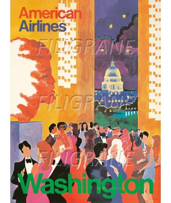 AMERICAN AIRLINES WASHINGTON Rtlu-POSTER/REPRODUCTION d1 AFFICHE VINTAGE brillant des détails fins