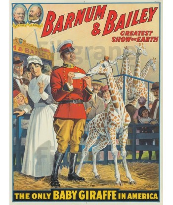 CIRQUE BARNUM BAILEY R257-POSTER/REPRODUCTION d1 AFFICHE VINTAGE Comparez et commandez 