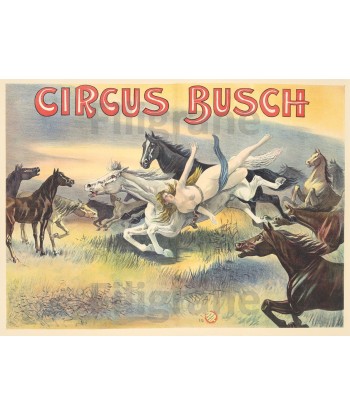 CIRQUE  CIRCUS BUSCH CHEVAUX Réf280 POSTER*POSTER/REPRO d1 AFFICHE RéTRO solde