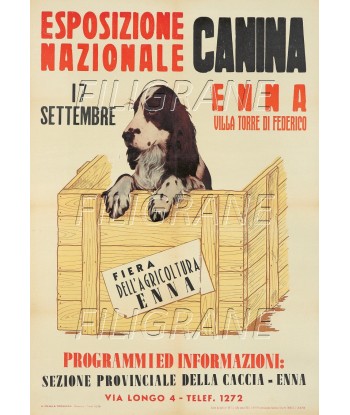 EXPO CANINE ENNA Rsxf-POSTER/REPRODUCTION d1 AFFICHE VINTAGE sur le site 