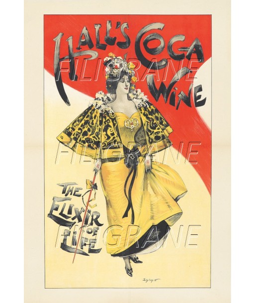 PUB HALL'S COCA WINE ELIXIR Rkrv-POSTER/REPRODUCTION d1 AFFICHE VINTAGE ou a consommer sur place