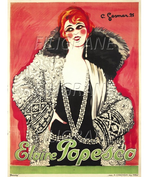 SPECTACLE Elvire POPESCO Rmdd-POSTER/REPRODUCTION d1 AFFICHE VINTAGE Par le système avancé 