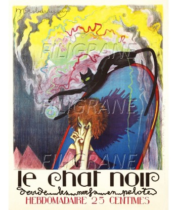 PUB LE CHAT NOIR REVUE PRESSE Rfyn-POSTER/REPRODUCTION d1 AFFICHE VINTAGE 50-70% off 