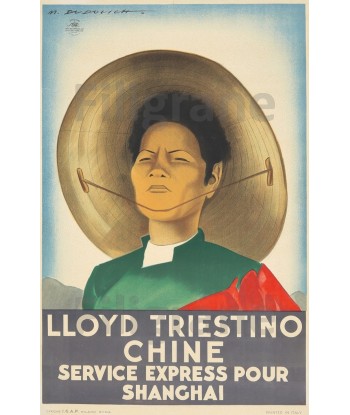 BATEAUX LLYOD TRIESTINO CHINE 261-POSTER/REPRODUCTION d1 AFFICHE VINTAGE les ctes