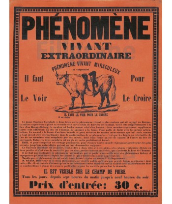 CIRQUE PhéNOMèNE VIVANT ANIMAUX Ryit-POSTER/REPRODUCTION d1 AFFICHE VINTAGE la colonne vertébrale