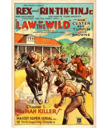 LAW of the WILD FILM Ruri-POSTER/REPRODUCTION d1 AFFICHE VINTAGE Par le système avancé 