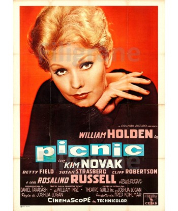 PICNIC FILM Rkqq-POSTER/REPRODUCTION d1 AFFICHE VINTAGE en ligne