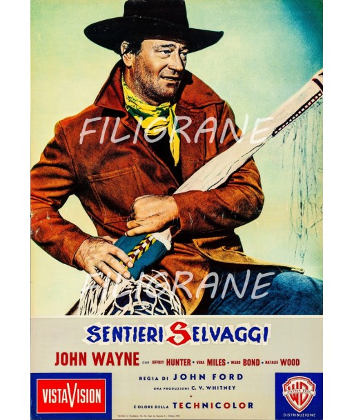 SENTIERI SELVAGGI FILM Rxav-POSTER/REPRODUCTION d1 AFFICHE VINTAGE Fin de série