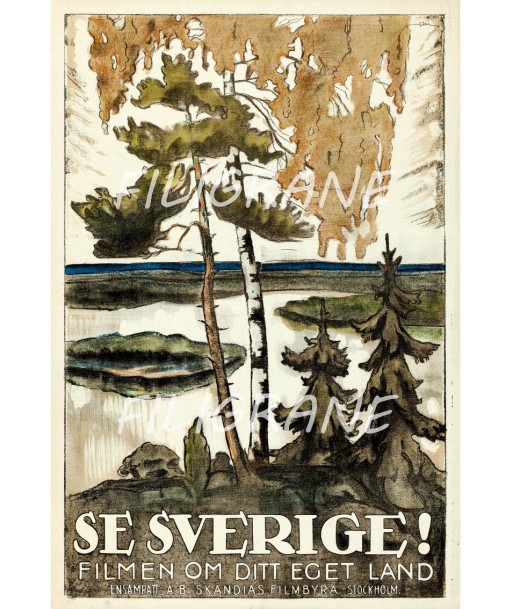 SE SVERIGE  FILM Rzqt-POSTER/REPRODUCTION d1 AFFICHE VINTAGE l'évolution des habitudes 