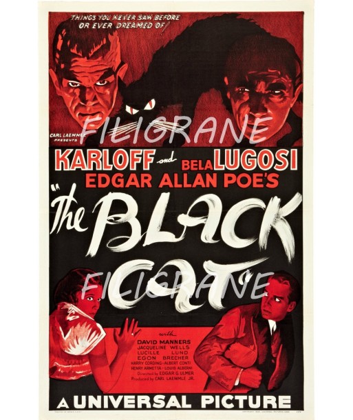 THE BLACK CAT FILM Rhfb-POSTER/REPRODUCTION d1 AFFICHE VINTAGE pas cher 