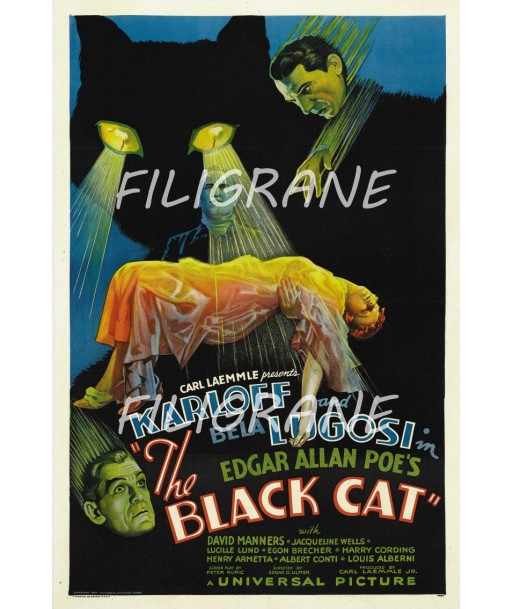 THE BLACK CAT FILM Rufn-POSTER/REPRODUCTION d1 AFFICHE VINTAGE la colonne vertébrale