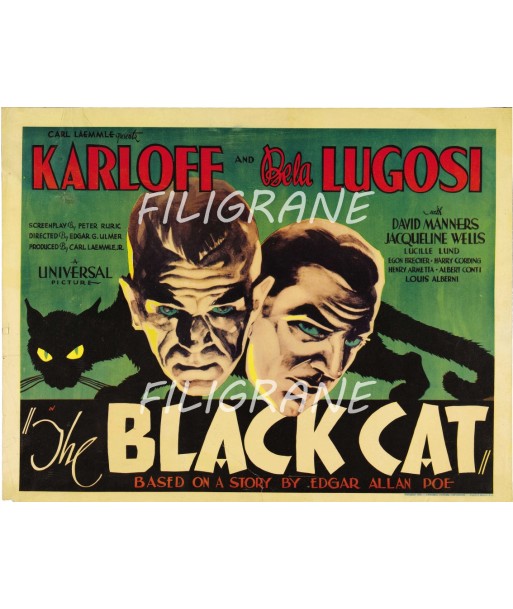 THE BLACK CAT FILM Rxcg-POSTER/REPRODUCTION d1 AFFICHE VINTAGE Le MVP de beaucoup