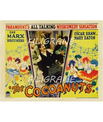 THE COCOANUTS FILM Rqap-POSTER/REPRODUCTION d1 AFFICHE VINTAGE de votre